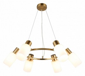 Подвесная люстра Omnilux Ales OML-69103-06 в Режи - rezh.mebel24.online | фото 2