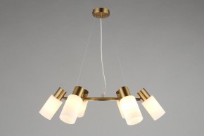 Подвесная люстра Omnilux Ales OML-69103-06 в Режи - rezh.mebel24.online | фото 4