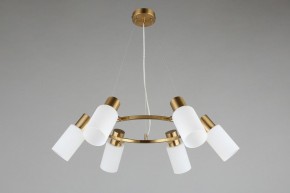 Подвесная люстра Omnilux Ales OML-69103-06 в Режи - rezh.mebel24.online | фото 5