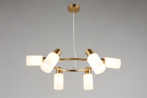 Подвесная люстра Omnilux Ales OML-69103-06 в Режи - rezh.mebel24.online | фото 7