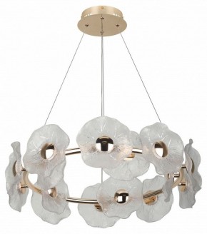 Подвесная люстра Rivoli Shannon Б0061947 в Режи - rezh.mebel24.online | фото 4