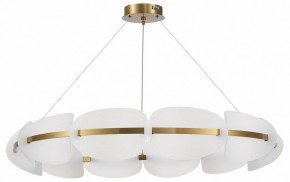 Подвесная люстра ST-Luce Etoile SL1304.203.65 в Режи - rezh.mebel24.online | фото 3