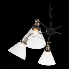 Подвесная люстра ST-Luce Evoluto SL237.413.05 в Режи - rezh.mebel24.online | фото 7