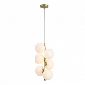 Подвесная люстра ST-Luce Sweven SL1519.303.06 в Режи - rezh.mebel24.online | фото 4