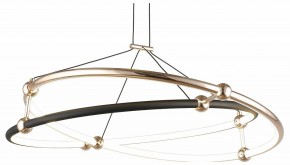 Подвесной светильник Aployt Diana APL.034.03.40 в Режи - rezh.mebel24.online | фото 1