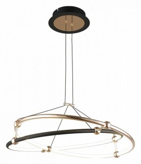 Подвесной светильник Aployt Diana APL.034.03.40 в Режи - rezh.mebel24.online | фото 2