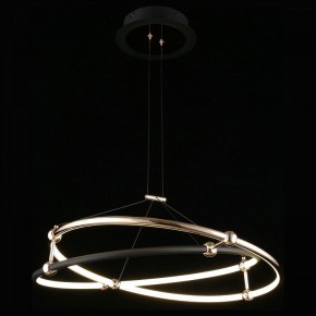 Подвесной светильник Aployt Diana APL.034.03.40 в Режи - rezh.mebel24.online | фото 3