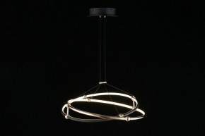 Подвесной светильник Aployt Diana APL.034.03.40 в Режи - rezh.mebel24.online | фото 5