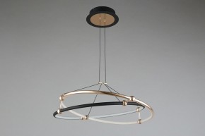 Подвесной светильник Aployt Diana APL.034.03.40 в Режи - rezh.mebel24.online | фото 6