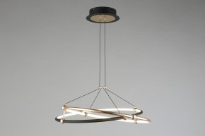 Подвесной светильник Aployt Diana APL.034.03.40 в Режи - rezh.mebel24.online | фото 7