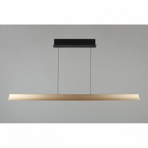 Подвесной светильник Aployt Gercia APL.786.03.38 в Режи - rezh.mebel24.online | фото 6