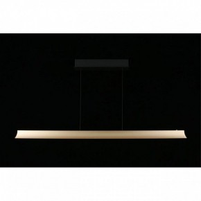 Подвесной светильник Aployt Gercia APL.786.03.38 в Режи - rezh.mebel24.online | фото 7