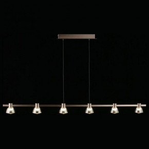 Подвесной светильник Aployt Rezeda APL.788.03.06 в Режи - rezh.mebel24.online | фото 11