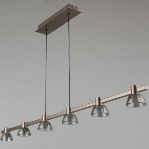 Подвесной светильник Aployt Rezeda APL.788.03.06 в Режи - rezh.mebel24.online | фото 12