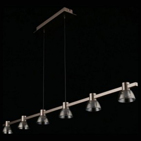 Подвесной светильник Aployt Rezeda APL.788.03.06 в Режи - rezh.mebel24.online | фото 13