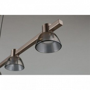 Подвесной светильник Aployt Rezeda APL.788.03.06 в Режи - rezh.mebel24.online | фото 4