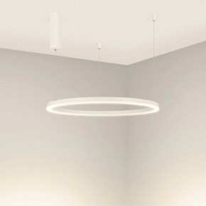 Подвесной светильник Arlight CONGO 046248 в Режи - rezh.mebel24.online | фото 2