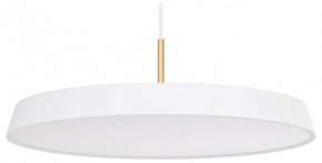 Подвесной светильник Arlight ELEGANT 033924(1) в Режи - rezh.mebel24.online | фото