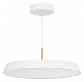 Подвесной светильник Arlight ELEGANT 033925(1) в Режи - rezh.mebel24.online | фото 2