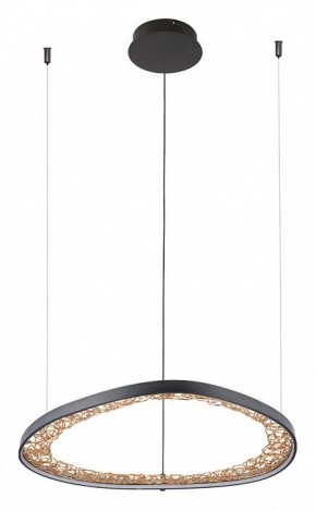 Подвесной светильник Arte Lamp Cinta A1847SP-36BK в Режи - rezh.mebel24.online | фото 2