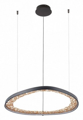 Подвесной светильник Arte Lamp Cinta A1847SP-46BK в Режи - rezh.mebel24.online | фото 2
