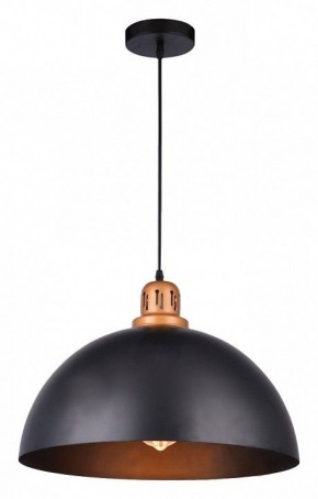 Подвесной светильник Arte Lamp Eurica A4249SP-1BK в Режи - rezh.mebel24.online | фото 2