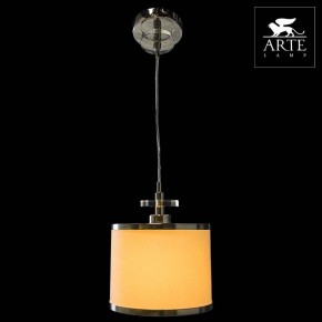 Подвесной светильник Arte Lamp Furore A3990SP-1CC в Режи - rezh.mebel24.online | фото 3