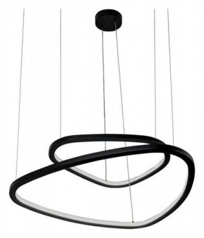 Подвесной светильник Arte Lamp Madison A2194SP-2BK в Режи - rezh.mebel24.online | фото 3