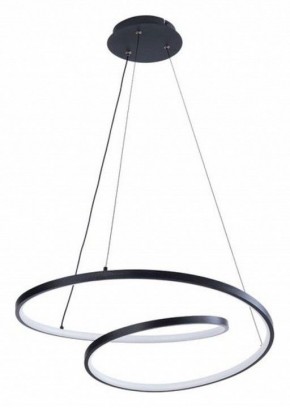 Подвесной светильник Arte Lamp Millo A3893SP-30BK в Режи - rezh.mebel24.online | фото 2