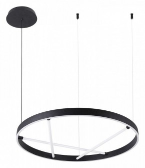 Подвесной светильник Arte Lamp Ricco A1874SP-32BK в Режи - rezh.mebel24.online | фото 2
