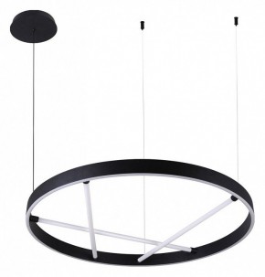 Подвесной светильник Arte Lamp Ricco A1874SP-45BK в Режи - rezh.mebel24.online | фото 2