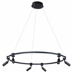 Подвесной светильник Arte Lamp Ring A2186SP-1BK в Режи - rezh.mebel24.online | фото 2