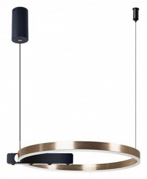 Подвесной светильник Arte Lamp Veritate A2221SP-1BR в Режи - rezh.mebel24.online | фото 3