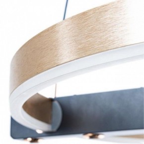 Подвесной светильник Arte Lamp Veritate A2221SP-1BR в Режи - rezh.mebel24.online | фото 6