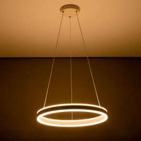 Подвесной светильник Citilux Дуэт CL719500 в Режи - rezh.mebel24.online | фото 11