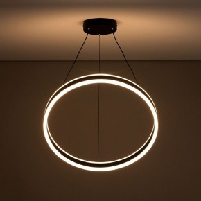 Подвесной светильник Citilux Дуэт CL719501 в Режи - rezh.mebel24.online | фото 12