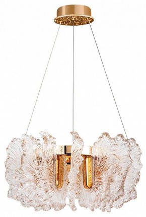 Подвесной светильник Divinare Anna 1138/01 SP-36 в Режи - rezh.mebel24.online | фото 2