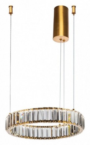 Подвесной светильник Divinare Renata 1135/17 SP-25 в Режи - rezh.mebel24.online | фото 2