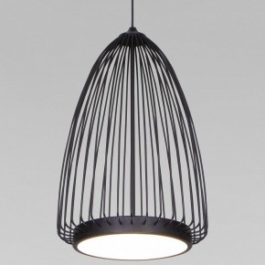 Подвесной светильник Eurosvet Comodita 40009/1 LED черный в Режи - rezh.mebel24.online | фото