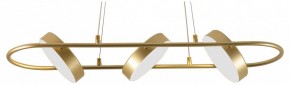 Подвесной светильник F-promo Abris 4677-3P в Режи - rezh.mebel24.online | фото