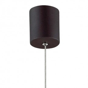Подвесной светильник Favourite Cornetta 2121-1P в Режи - rezh.mebel24.online | фото 4