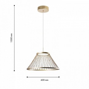 Подвесной светильник Favourite Fibra 4634-6P в Режи - rezh.mebel24.online | фото 4