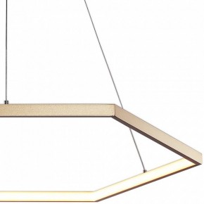 Подвесной светильник Favourite Hexagon 2103-6P в Режи - rezh.mebel24.online | фото 3