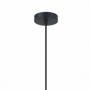 Подвесной светильник Favourite Korb 2363-2P в Режи - rezh.mebel24.online | фото 4