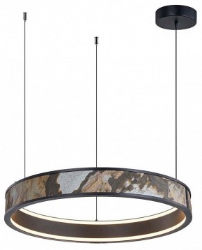 Подвесной светильник Favourite Lago 4598-1P в Режи - rezh.mebel24.online | фото 2