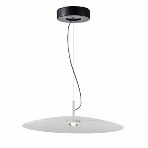 Подвесной светильник Favourite Lars 4410-1P в Режи - rezh.mebel24.online | фото 2