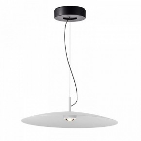 Подвесной светильник Favourite Lars 4410-2P в Режи - rezh.mebel24.online | фото 2