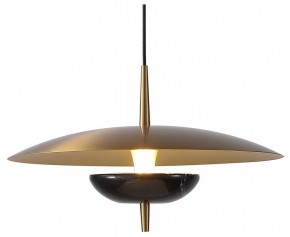 Подвесной светильник Favourite Marmo 4246-1P в Режи - rezh.mebel24.online | фото