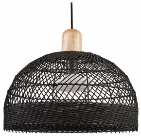 Подвесной светильник Favourite Plat 4461-1P в Режи - rezh.mebel24.online | фото