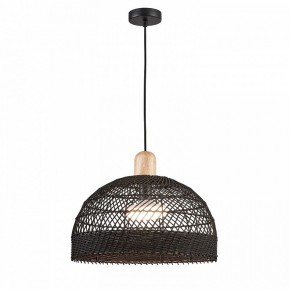 Подвесной светильник Favourite Plat 4461-1P в Режи - rezh.mebel24.online | фото 3